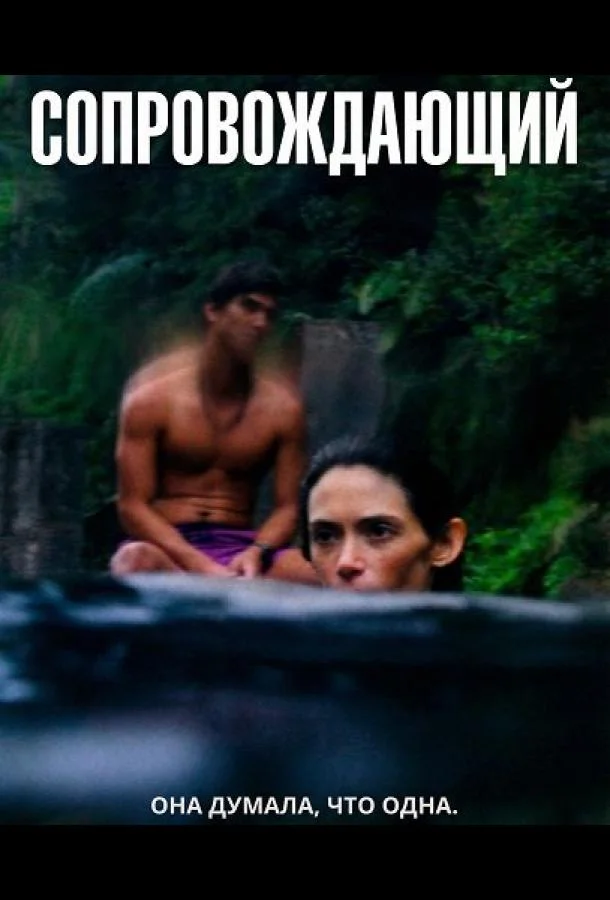Сопровождающий (2024) в HD качестве на Киноволне